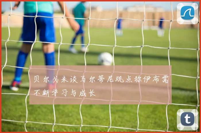 贝尔戈米谈马尔蒂尼观点称伊布需不断学习与成长