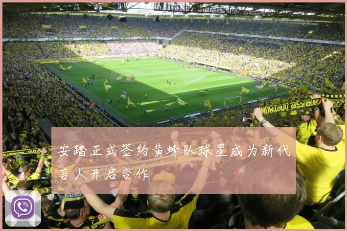 安踏正式签约黄蜂队球星成为新代言人开启合作